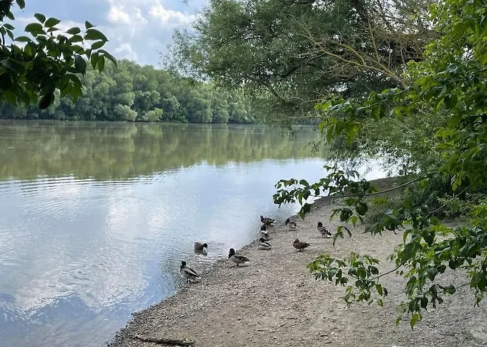 Duna Park